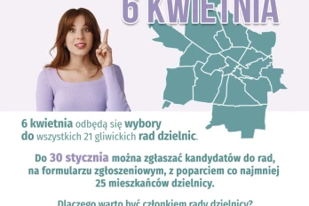 WYBORY DO RAD DZIELNIC