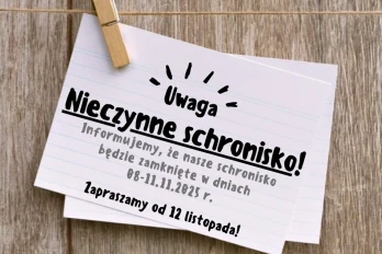 Przerwa w pracy schroniska