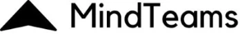 MindTeams